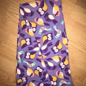 LuLaRoe HTF Owl Leggings TC